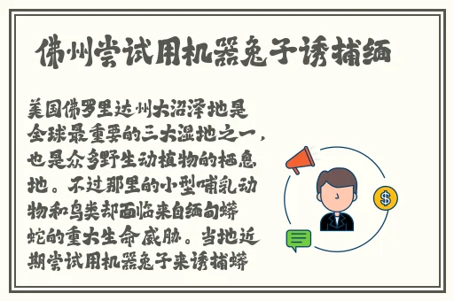 17c吃瓜官网反婊